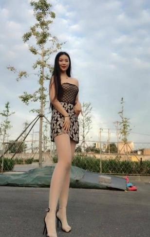 高清DVD碟片收藏指南：日韩欧美佳作哪家强？